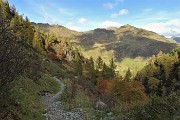 86 Scendendo nel valloncello dell'Agheta